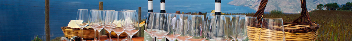 eurovin logo