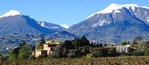 Cornacchia azienda
