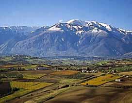 山