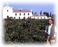 Berberana