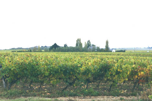 Plessis field