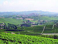 Terre del Barolo