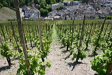 Wagner winery