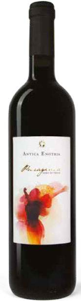 Antica Enotria Puragioia 2019 