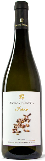 Antica Enotria Fiano 2021 Seashells