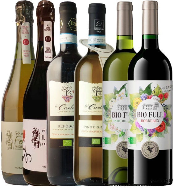 SO2free Organic Wine Set(6 bottles)  