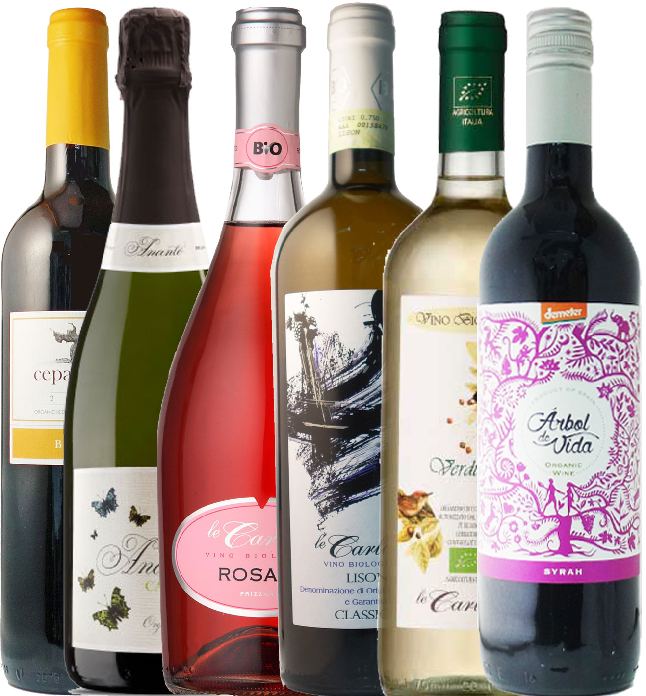 Vegan Organic Wine Set(6 bottles)  