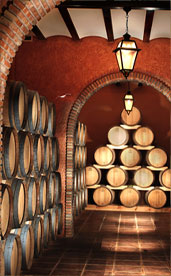 elena cellar